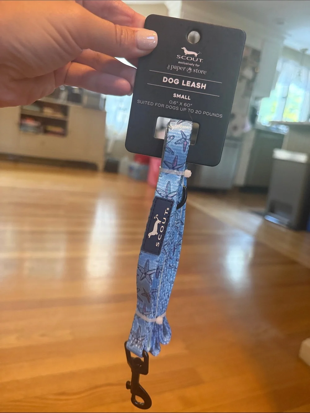 Scout Blue Starfish Print Dog Leash